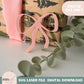 BUNDLE - 6 bow coquette designs svg